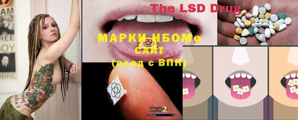 дживик Корсаков