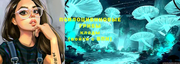 прущие крисы Костерёво