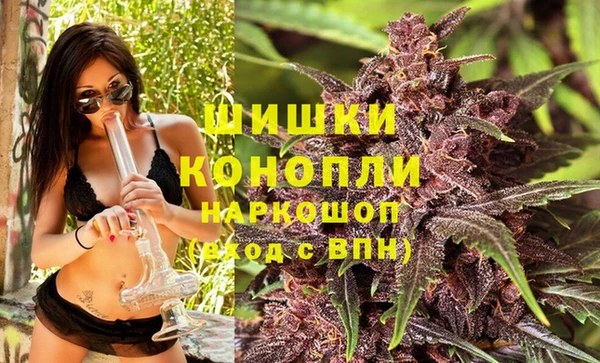 первитин Коряжма
