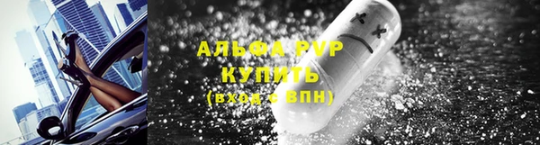 дживик Корсаков